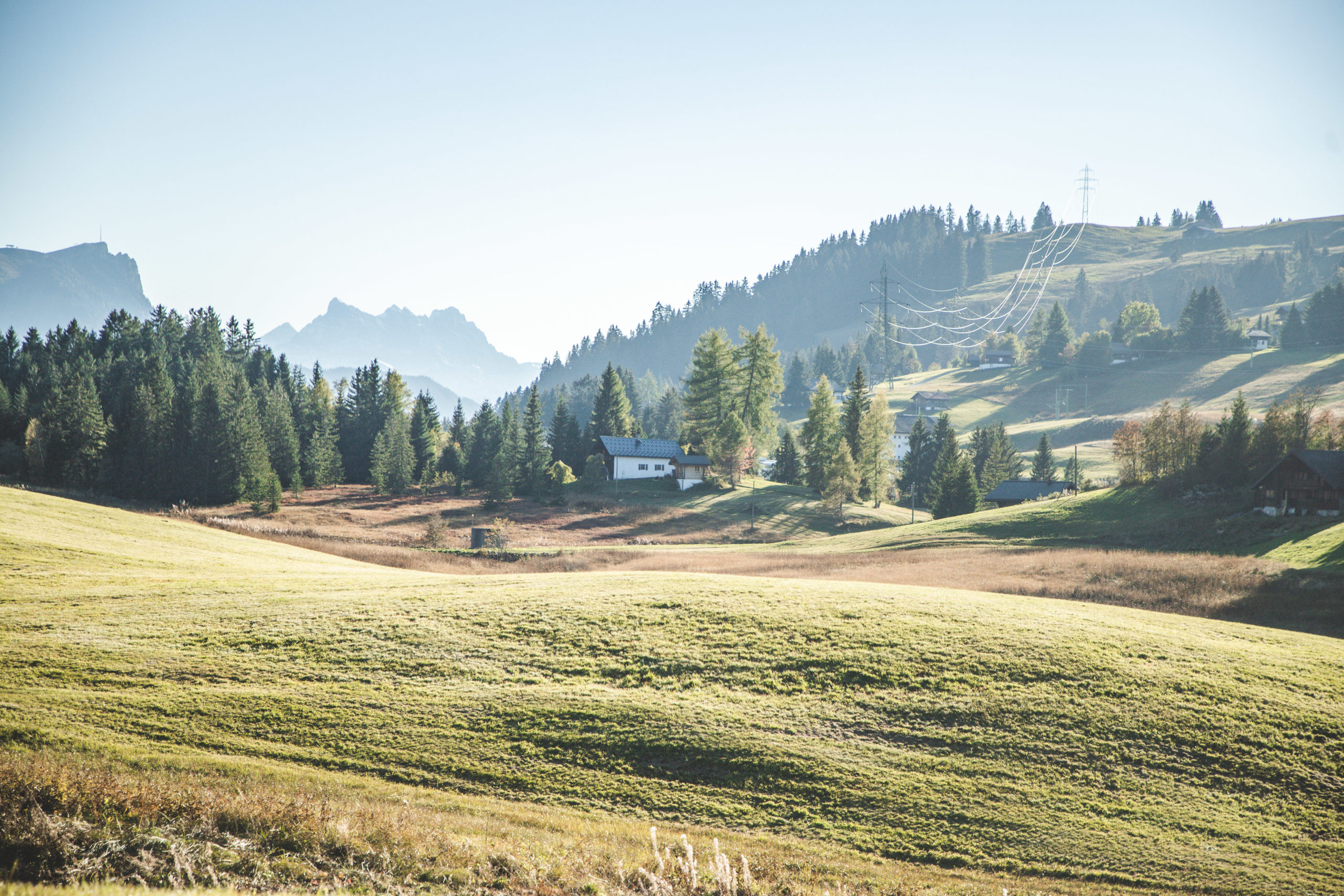211007-UDC-PAYSAGE-50